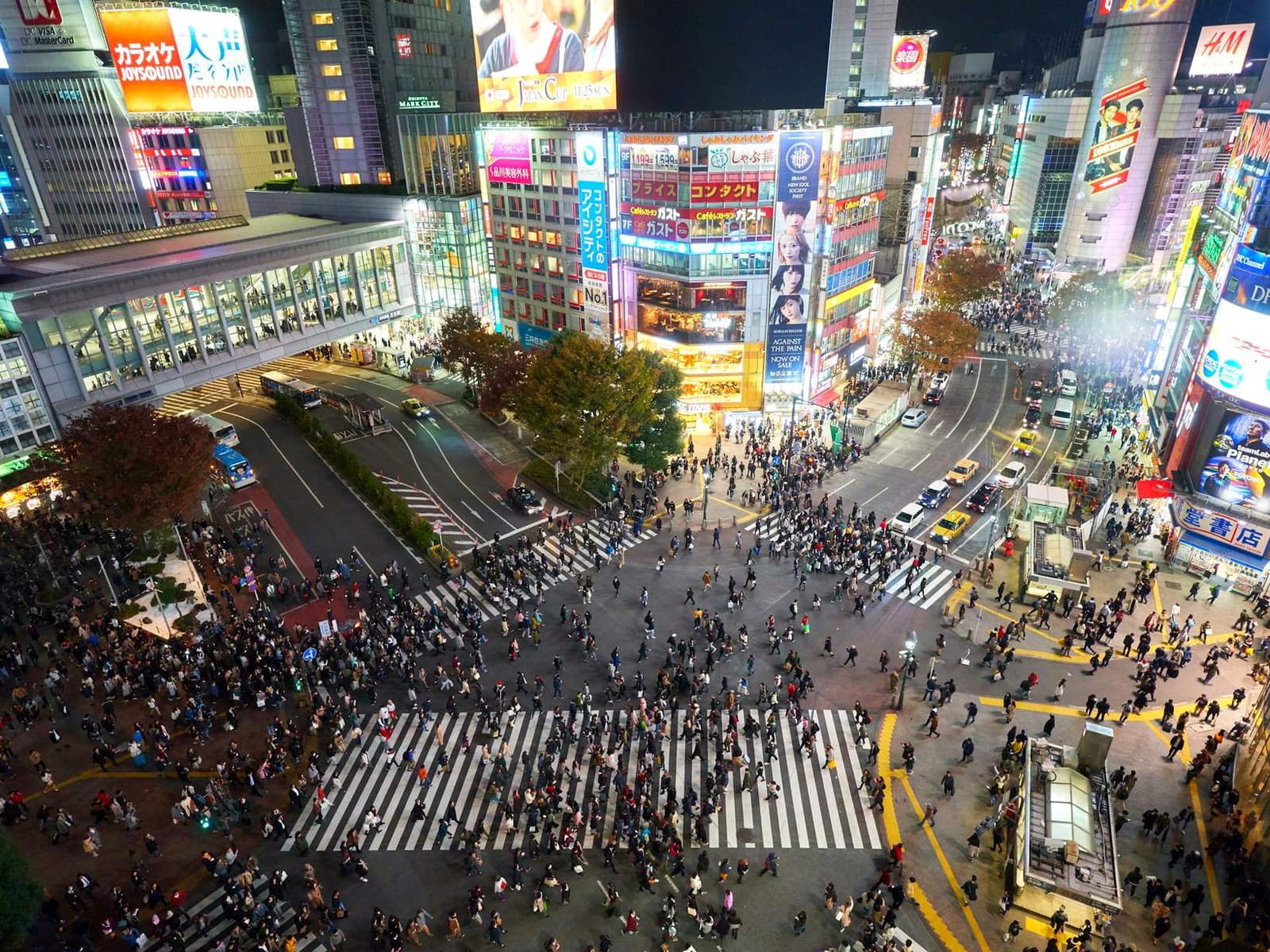 Crowds crossing the Shibuya scramble at night, Tokyo
